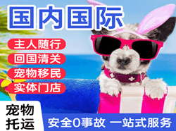 运城机场空运国际宠物托运 【国